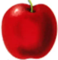 Dietnow.gr Logo