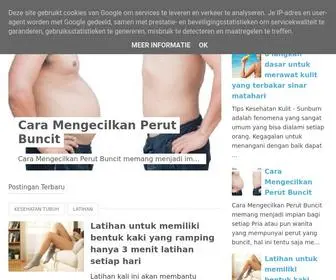 Dietsehat.web.id(Diet Sehat) Screenshot