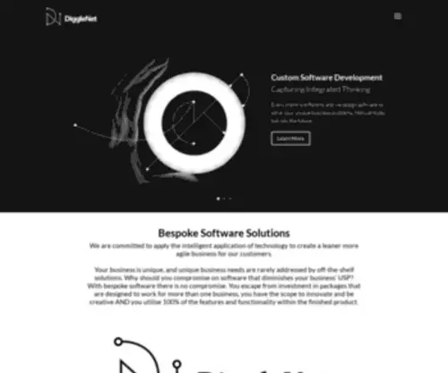 Diggle.net(Bespoke software solutions) Screenshot
