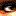 Digital-Amazons.com Favicon