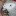 Digital-Law-Online.info Favicon