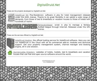 Digitaldruid.net(Digitaldruid) Screenshot
