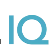 DigitaliqSolutions.com Favicon