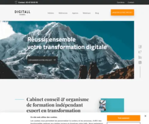 Digitall-Conseil.fr(Cabinet conseil ı Organisme de formation) Screenshot