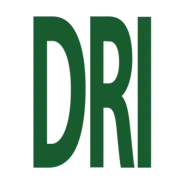Digitalresearch.com Logo