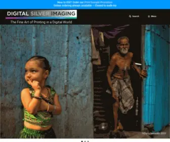 Digitalsilverimaging.com(Digital Silver Imaging) Screenshot