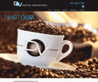 Digitalviewstudio.com(Scott Rosenberg) Screenshot