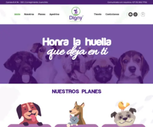 Digny.co(Honra la huella que deja en ti) Screenshot