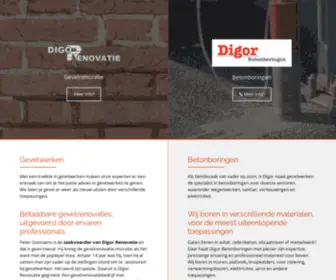 Digorrenovatie.be(Gevelrenovatie) Screenshot