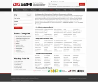 Digsemi.com(Rantle East Electronic) Screenshot