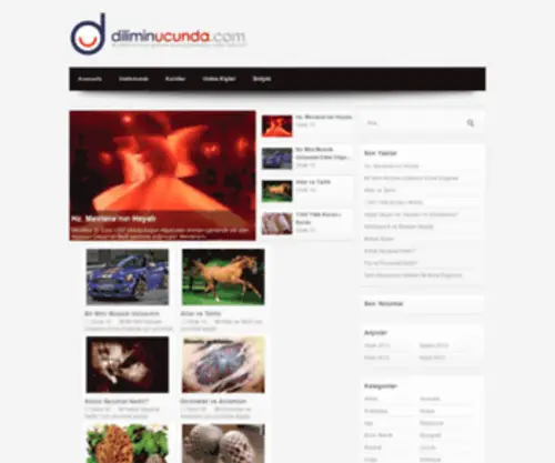 Diliminucunda.com(Diliminucunda) Screenshot