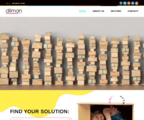 Dilmanpack.com(Anything Packaging) Screenshot