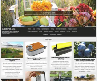 Dimoning.ru(Сад Огород Дача) Screenshot
