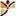 Dinabazar.com Favicon