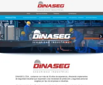 Dinaseg.cl(Dinaseg) Screenshot