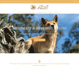 Dingofoundation.org(ADF's focus is on research) Screenshot