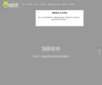 DingXinsoft.net(中软顶新（北京）科技有限公司) Screenshot