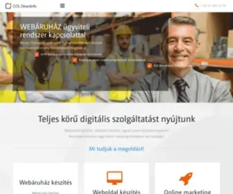 Directinfo.hu(Webáruház) Screenshot
