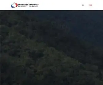 Directoriodelquindio.com(Directorio del Quindio) Screenshot