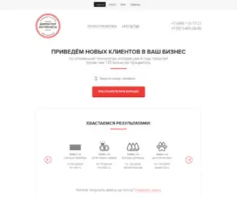 Direktorinterneta.com(Директор интернета) Screenshot