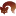 Direttaradio.it Favicon