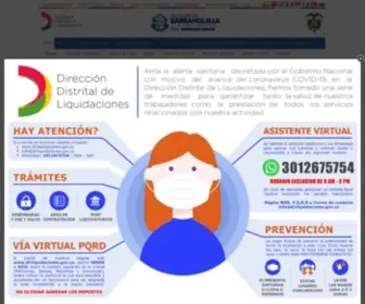 Dirliquidaciones.gov.co(DDL) Screenshot