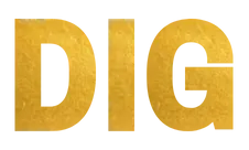 Dirtisgold.com Logo
