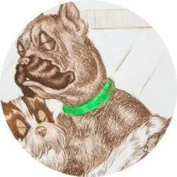 Dirtydogsofparis.com Favicon