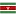 Discover-Suriname.com Favicon