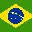 Discoverbraziltours.com Favicon