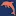 Discoverdolphins.ie Favicon