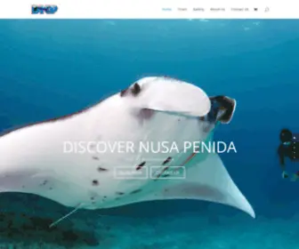 Discovernusapenida.com(Discover Nusa Penida) Screenshot