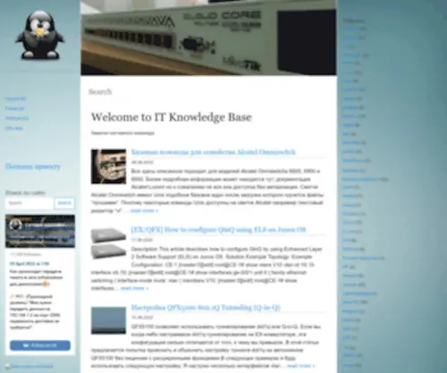 Disnetern.ru(IT Knowledge Base) Screenshot