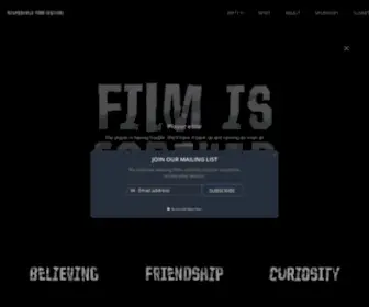 Disposablefilmfest.com(The Disposable Film Festival) Screenshot
