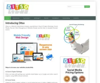 Ditso.com(Web Design) Screenshot