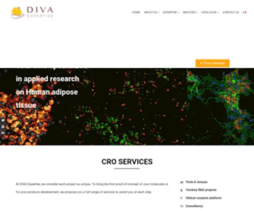 Diva-Expertise.com(DIVA Expertise) Screenshot