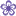 Divacosmeticos.com Favicon