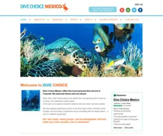 Divechoicecozumel.com(DiveChoice) Screenshot