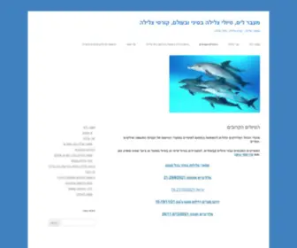 Diveoverseas.com(ספארי צלילות) Screenshot