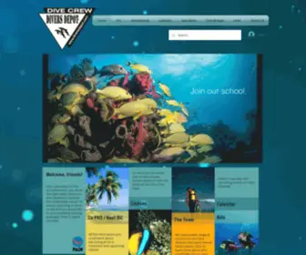 Diversdepot.com(Diversdepot) Screenshot