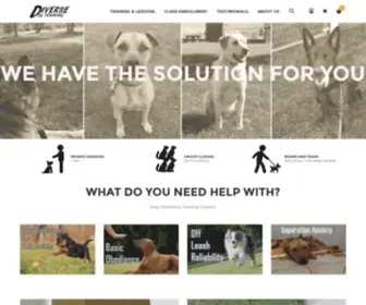 Diversedogtraining.com(Diverse Dog Training) Screenshot