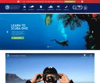 Diveschoolcapetown.co.za(Into The Blue Scuba Dive Centre in Cape Town) Screenshot