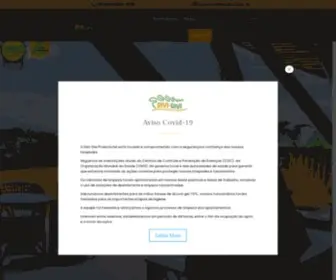 DiviDivi.com.br(Divi-Divi) Screenshot