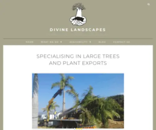 Divinelandscapes.co.za(Preferred Big Tree Supplier and Quality Plant Exporter) Screenshot