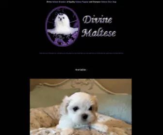 Divinemaltese.com(Maltese Breeders of Maltese Puppies & Champion Maltese Dogs) Screenshot