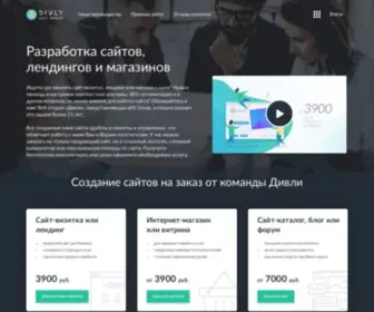 Divly.ru(Создание и разработка сайтов в Дивли.ру) Screenshot