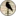 Divoke-Kmene.sk Favicon