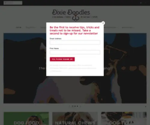 Dixiedoodles.co.uk(Dixie Doodles Pet Shop) Screenshot