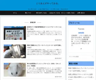 Diy-Camp.com(Diy Camp) Screenshot