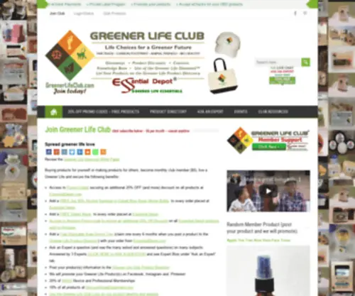 Diy101.com(Greener Life Choices) Screenshot